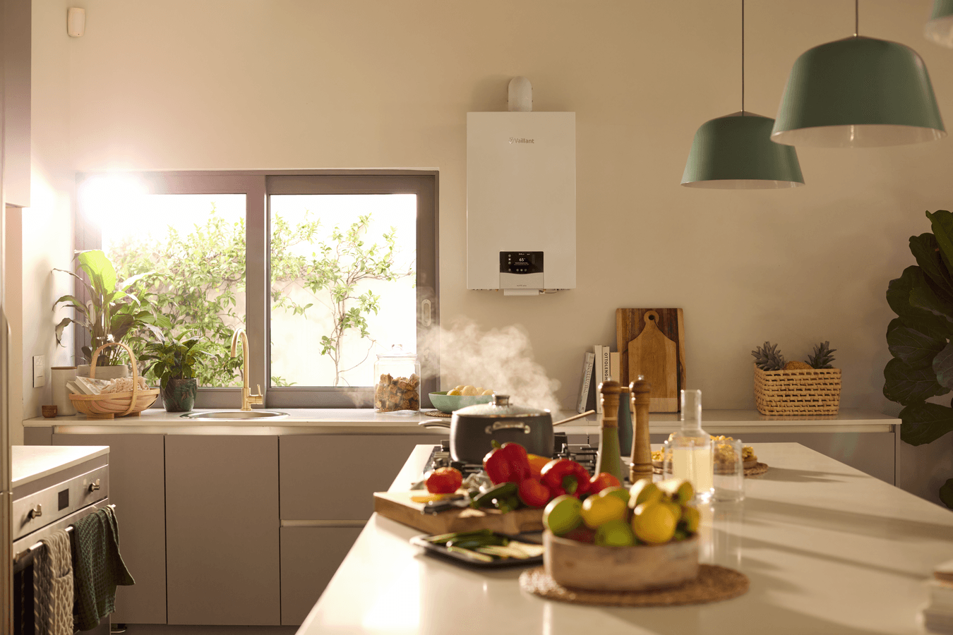 ecoTEC plus VM scene view