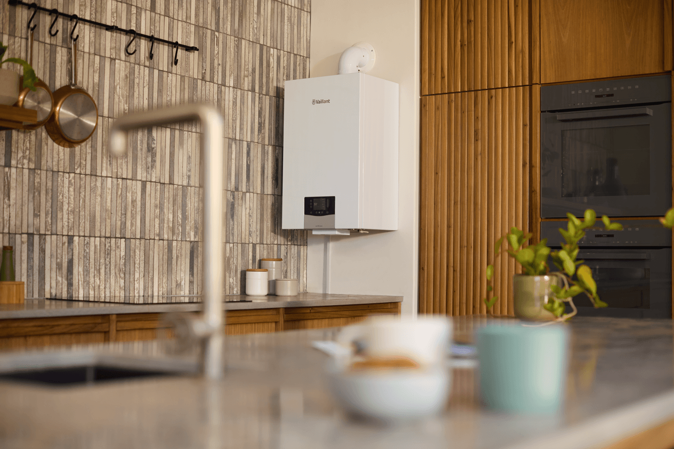 ecoTEC plus VMW scene view