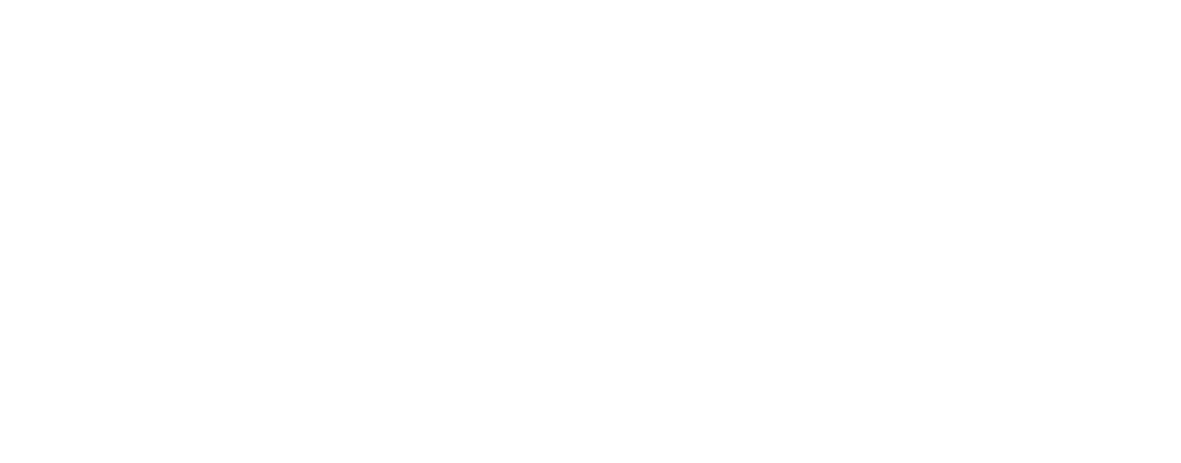 Logo Vaillant Premium
