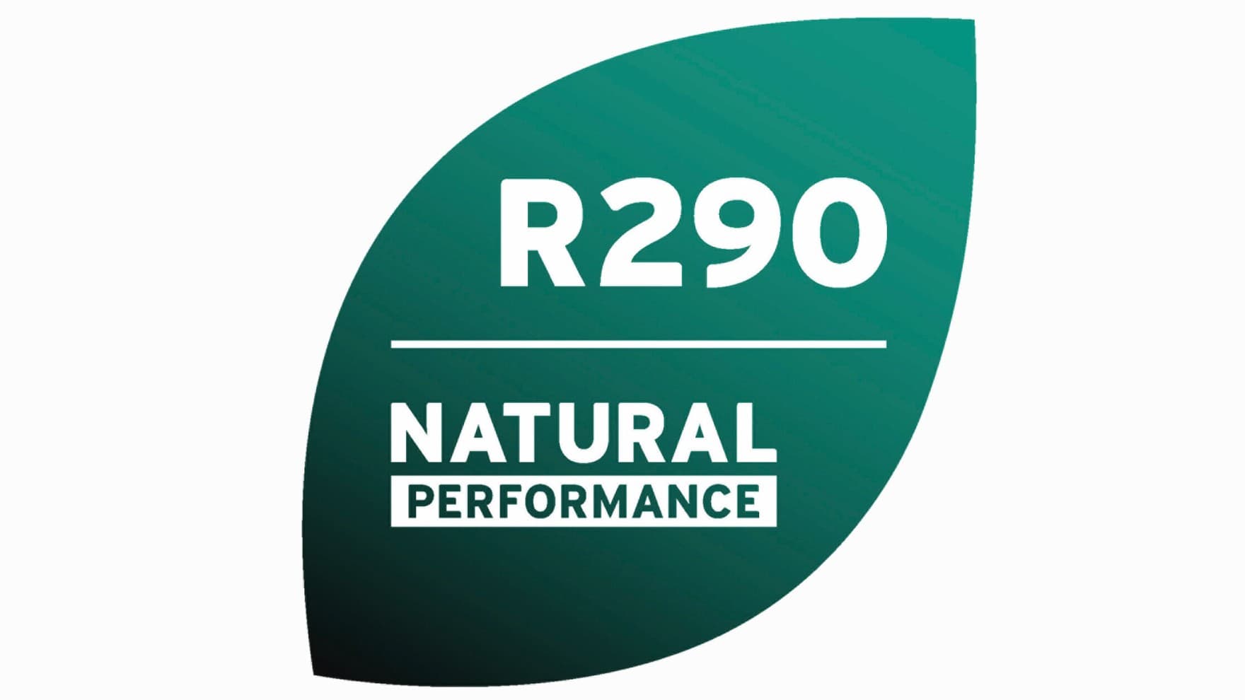 Marchio R290.