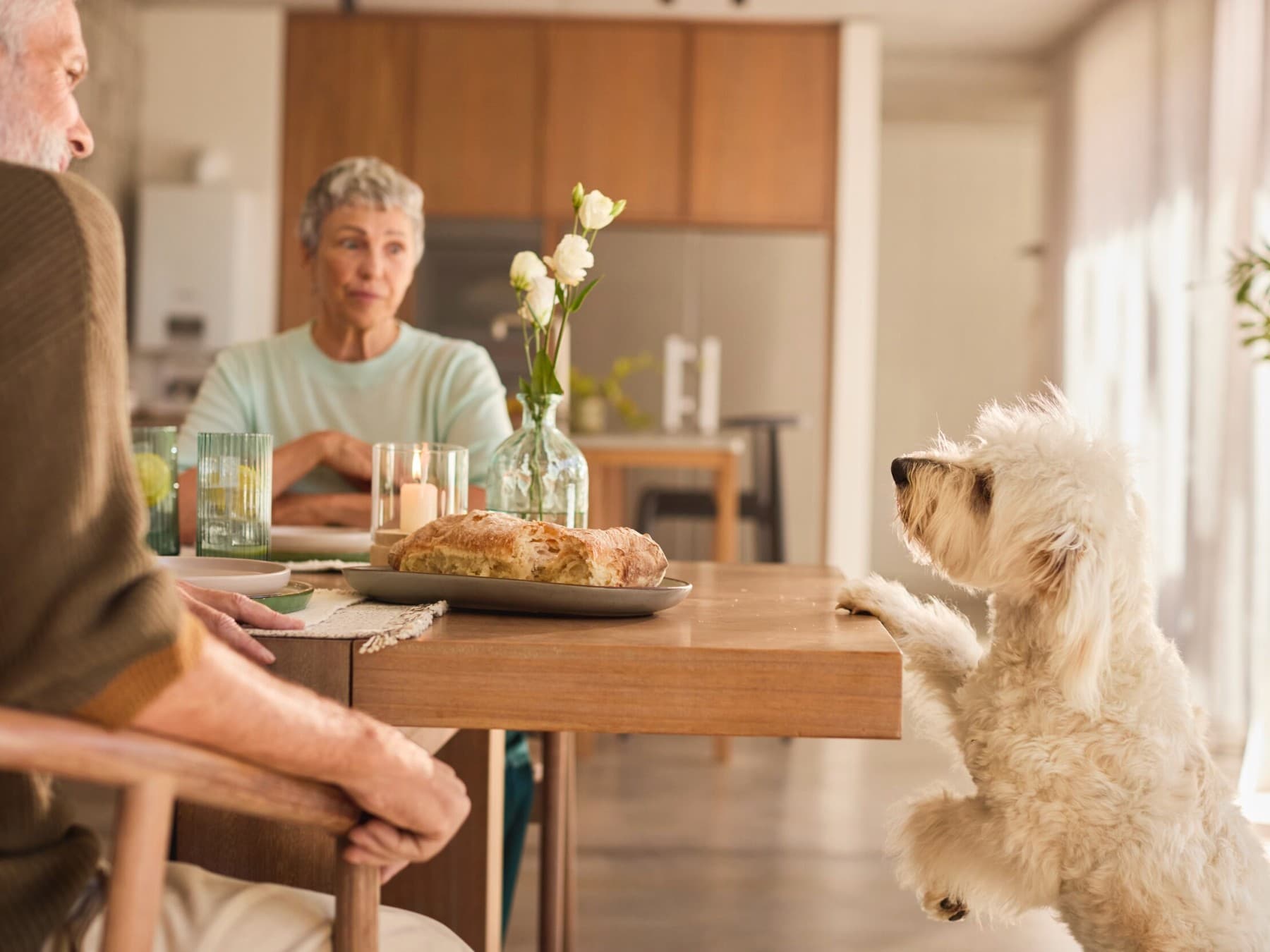 Coppia che fa colazione mentre un cane guarda il tavolo